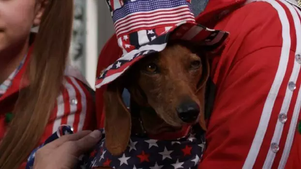 Watch Wiener Dog Internationals Trailer