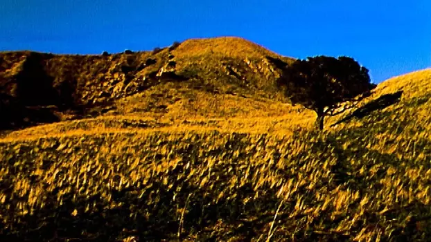 Watch BROCKHAMPTON: THE TOP OF THE MOUNTAIN Trailer
