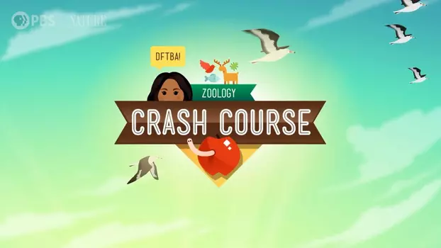 Watch Crash Course Zoology Trailer