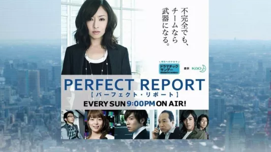 Perfect Report