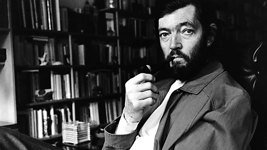 Memorias de Cortázar