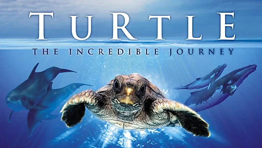 Watch Turtle: The Incredible Journey Trailer