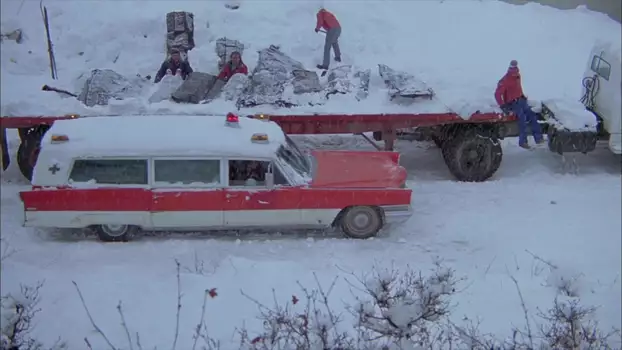 Watch Avalanche Trailer