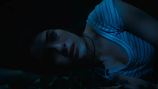 Until Dawn