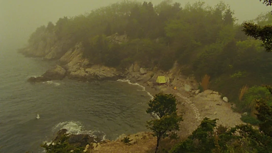 Moonrise Kingdom