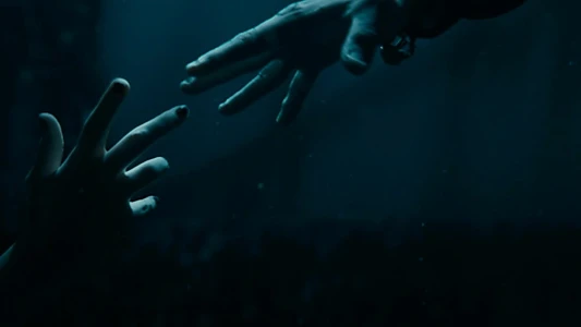 The Crow