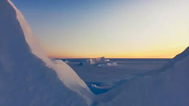 Watch Antarctica Trailer