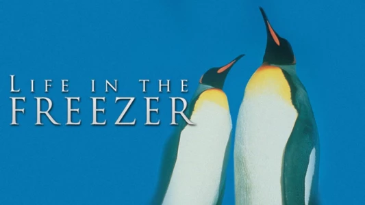 Watch Life in the Freezer Trailer