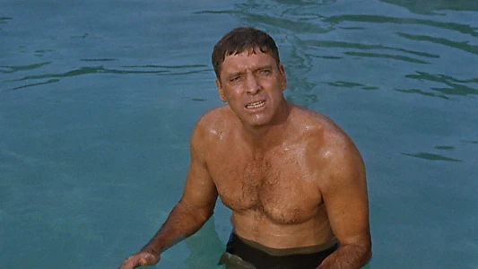 The Swimmer