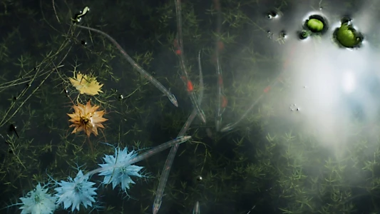 Annihilation
