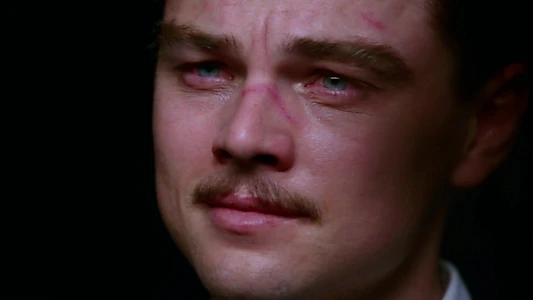 The Aviator