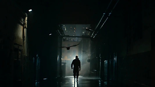The Crow