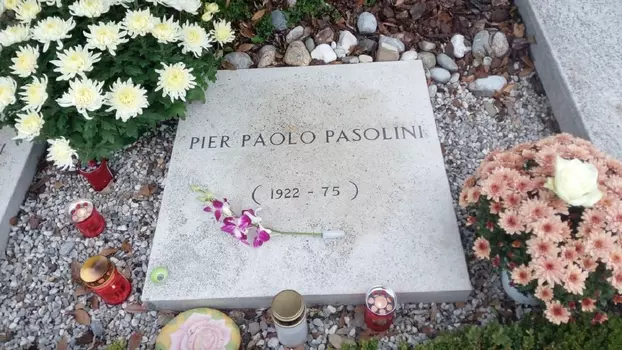 Nel paese di temporali e di primule - Pier Paolo Pasolini e la sua terra