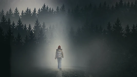 Watch The Girl in the Fog Trailer