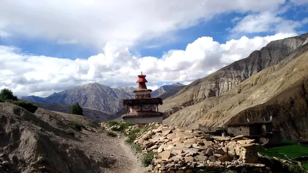 Dolpo Tulku - Heimkehr in den Himalaya