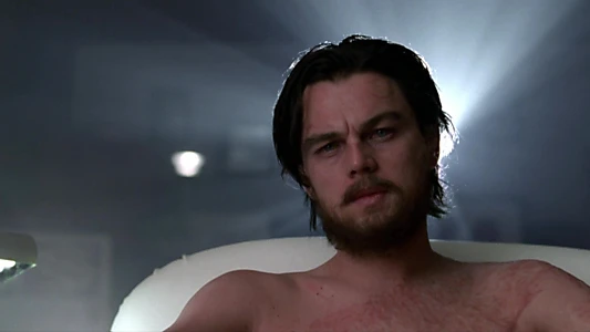 The Aviator