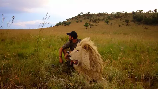 Watch African Safari Trailer