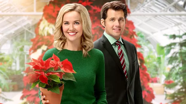Watch Hearts of Christmas Trailer