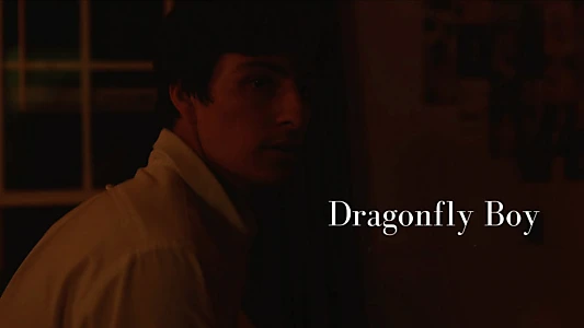 Watch Dragonfly Boy Trailer