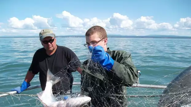 Watch Alaska Fish Wars Trailer
