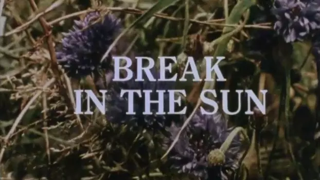 Break in the Sun