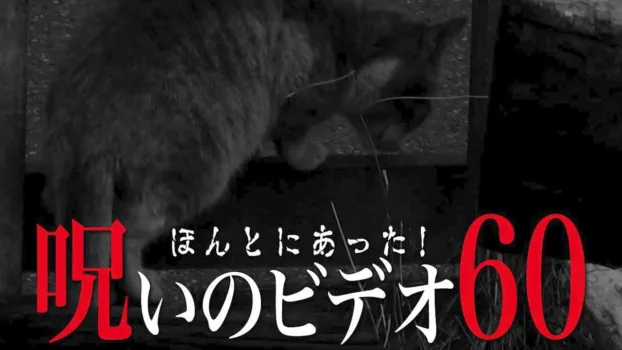 Watch Honto ni Atta! Noroi no Video Vol. 60 Trailer