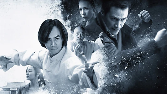 Man of Tai Chi