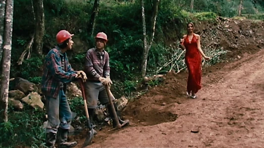Basic Sanitation, the Movie