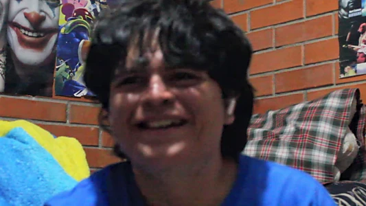 Es Para Un Videodiario