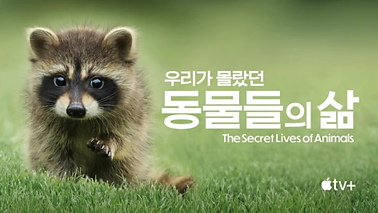 The Secret Lives of Animals