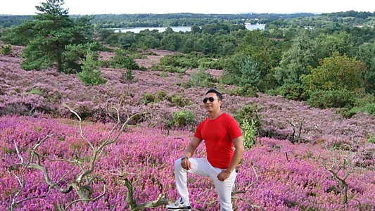 Frensham Great Pond