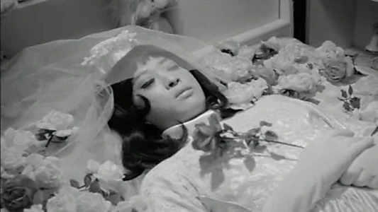 Funeral Parade of Roses