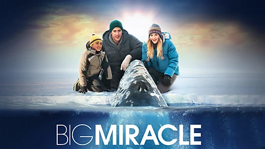 Big Miracle