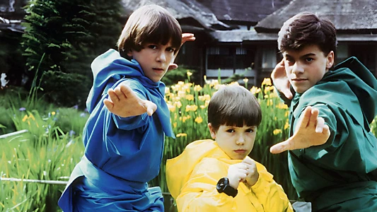 3 Ninjas Kick Back