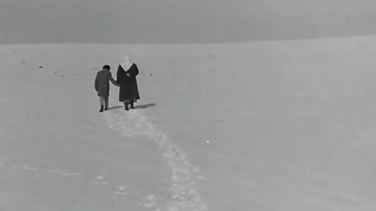 Mother's Field