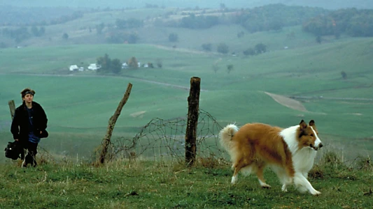 Lassie
