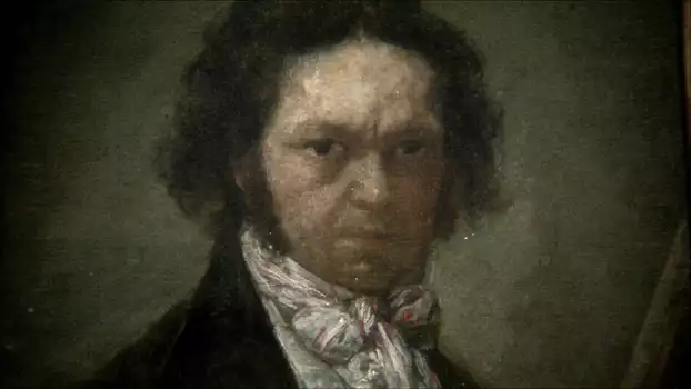 Goya: The Secret of the Shadows