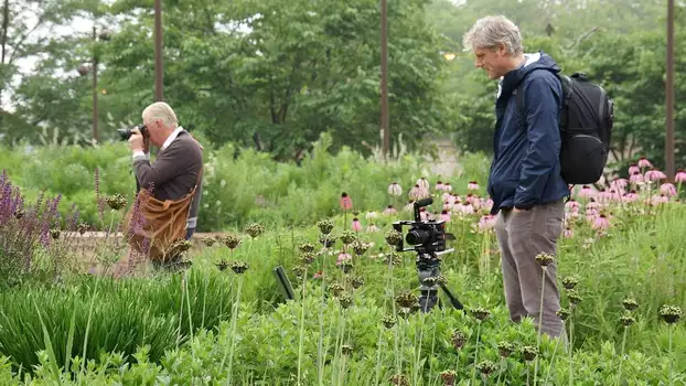 Five Seasons: The Gardens of Piet Oudolf