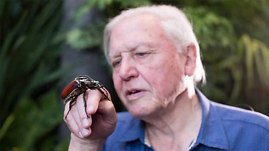 Micro Monsters with David Attenborough