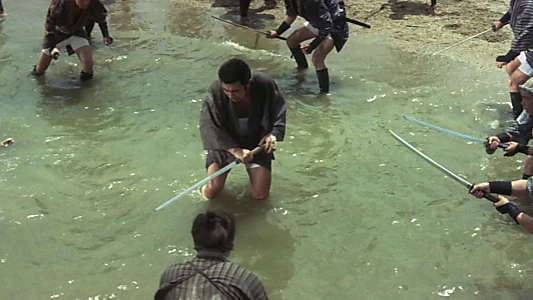 Zatoichi the Fugitive