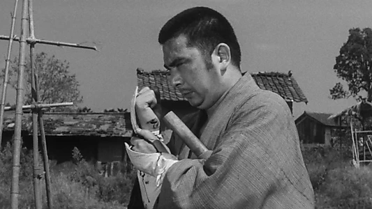 The Tale of Zatoichi Continues