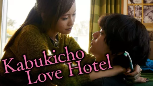 Kabukicho Love Hotel