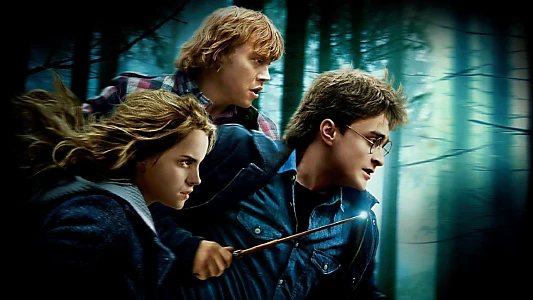 Harry Potter et les Reliques de la mort - 1ère partie