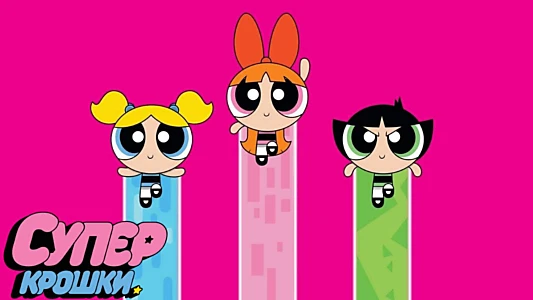 The Powerpuff Girls