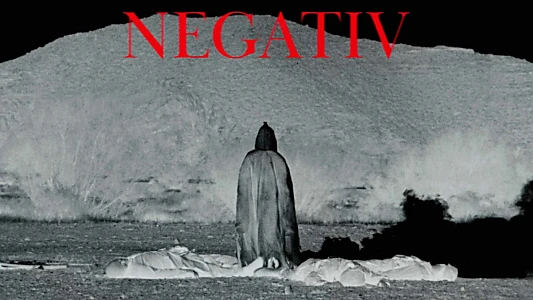 Negativ