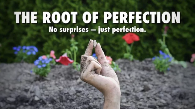 Watch The Root of Perfection Trailer