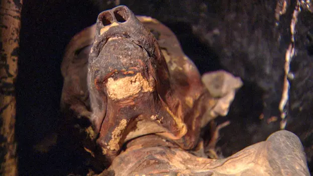 The Mysterious Mummified Dogs of Ancient Egypt