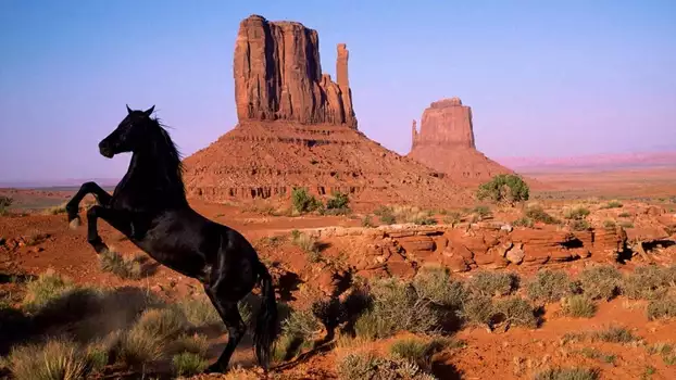 Watch American Mustang Trailer