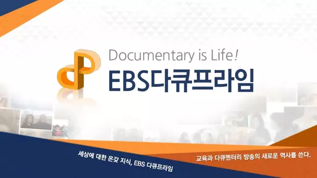 EBS 다큐프라임