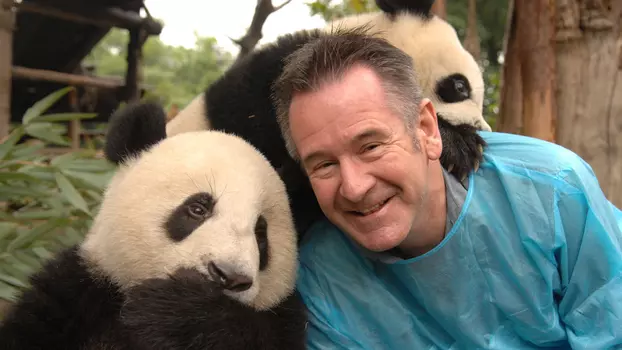 Panda Adventure with Nigel Marven